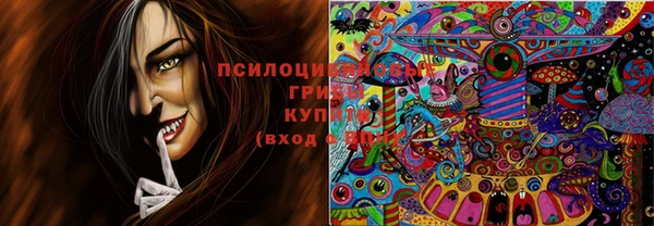 первитин Володарск