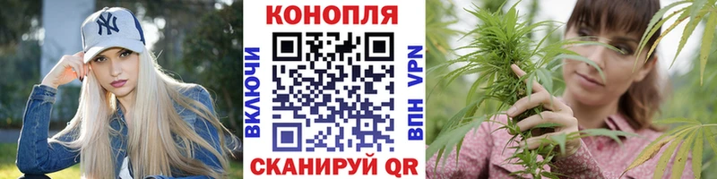 Купить  Асбест  Каннабис Amnesia 
